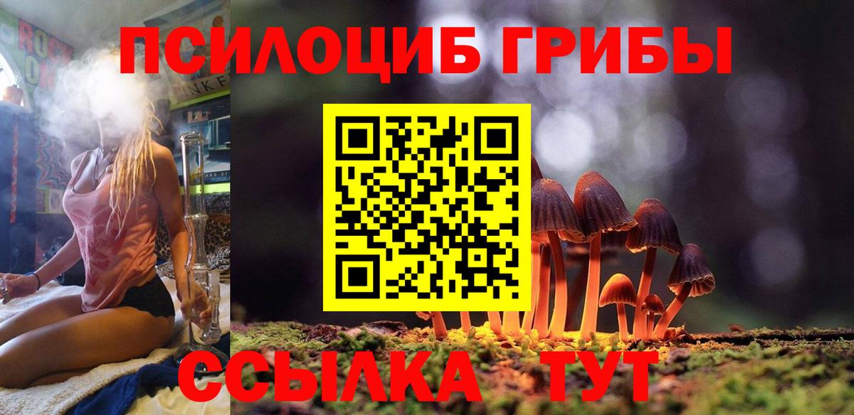Галлюциногенные грибы Cubensis  Галлюциногенные грибы прущие грибы  Вход с VPN  Спасск-Дальний 